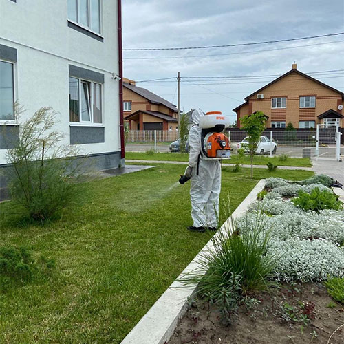 Провести дезинфекцию Южно-Сахалинск