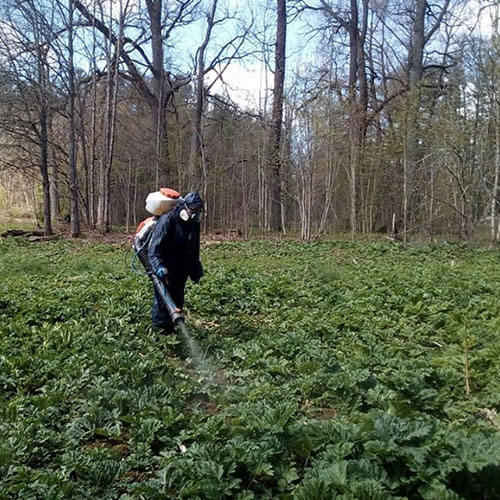 Кузнечное